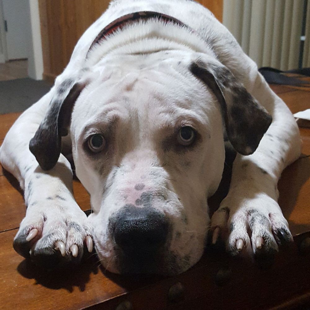 Meet your Posher, Kristy